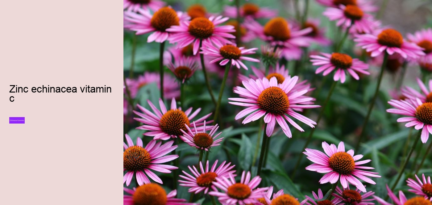 echinacea gummies recipe