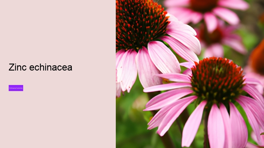 zinc echinacea