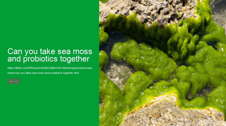 can you take sea moss and probiotics together