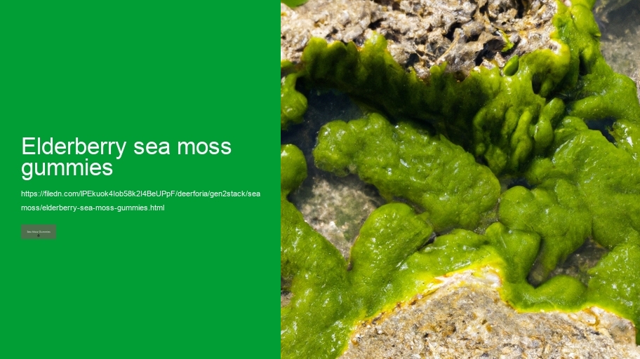 elderberry sea moss gummies