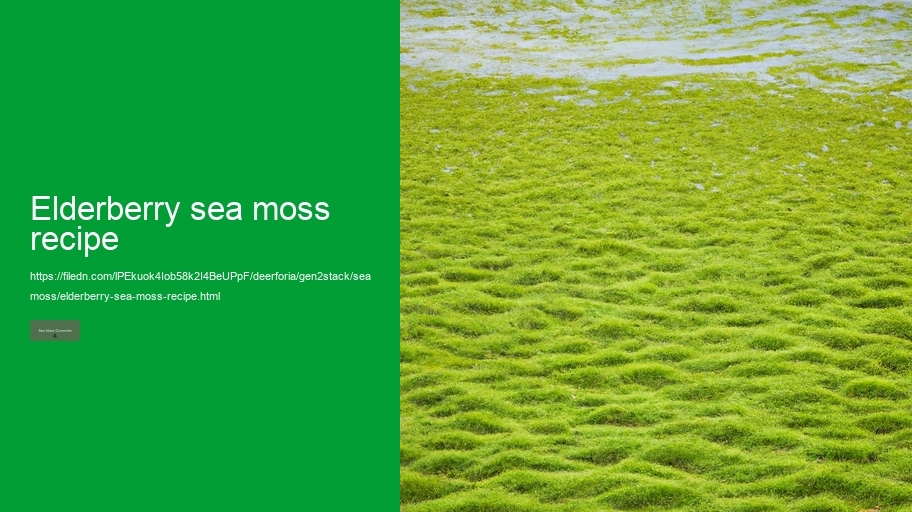 elderberry sea moss recipe