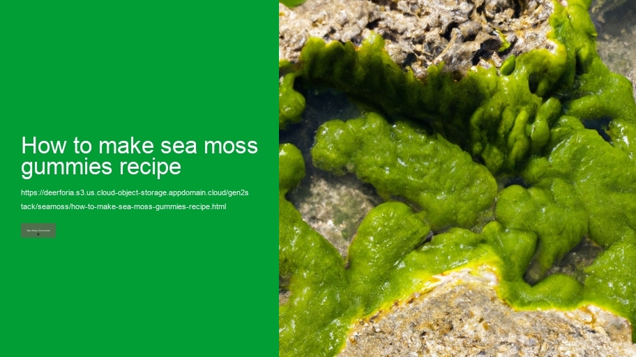 how to make sea moss gummies recipe