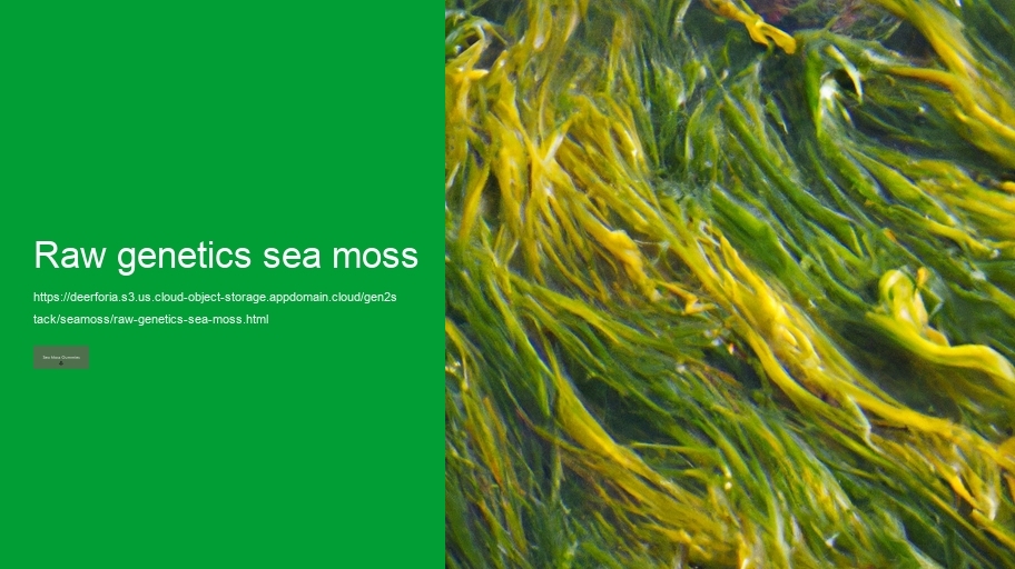 raw genetics sea moss