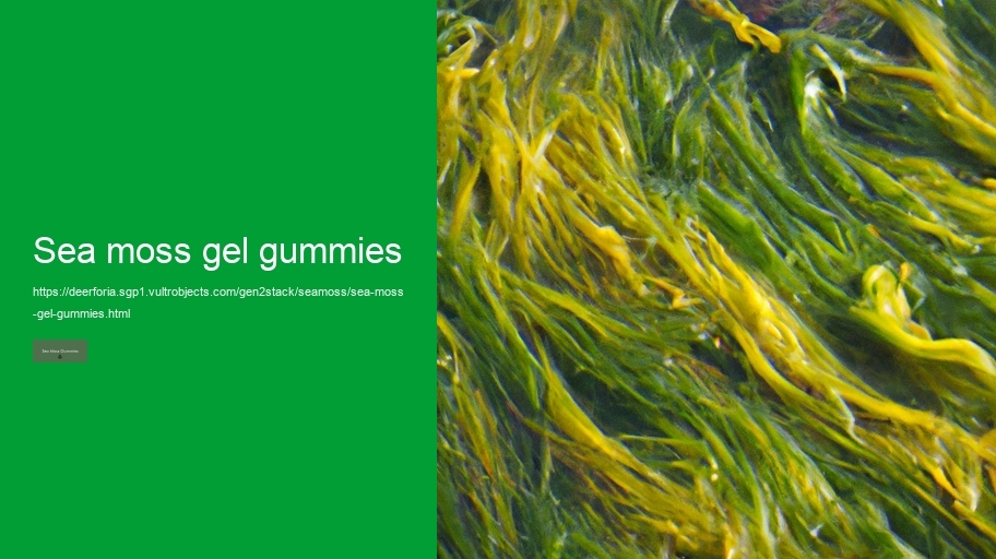 sea moss gel gummies