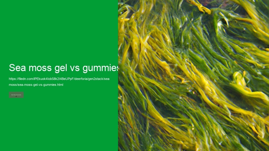 sea moss gel vs gummies