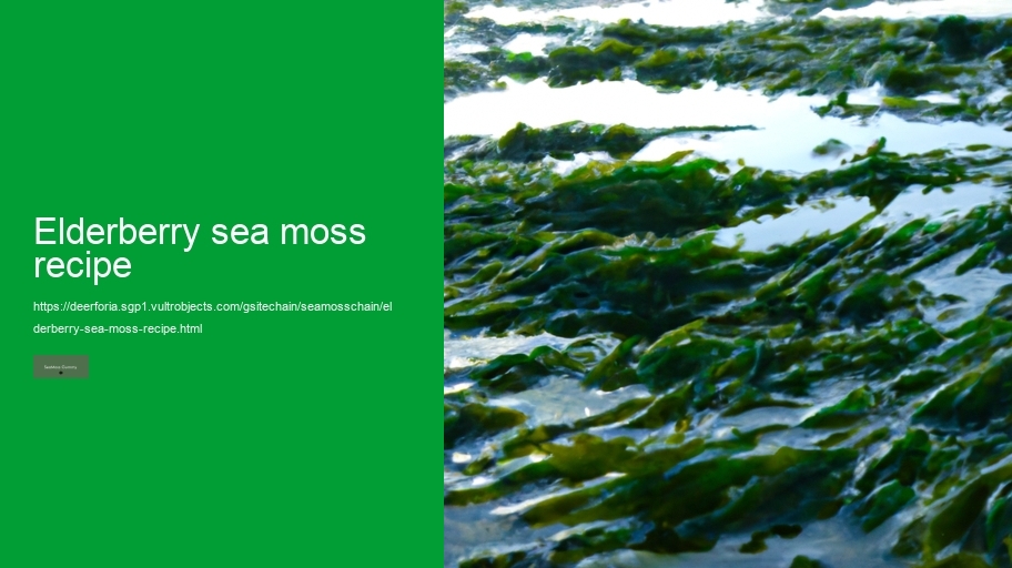 elderberry sea moss recipe