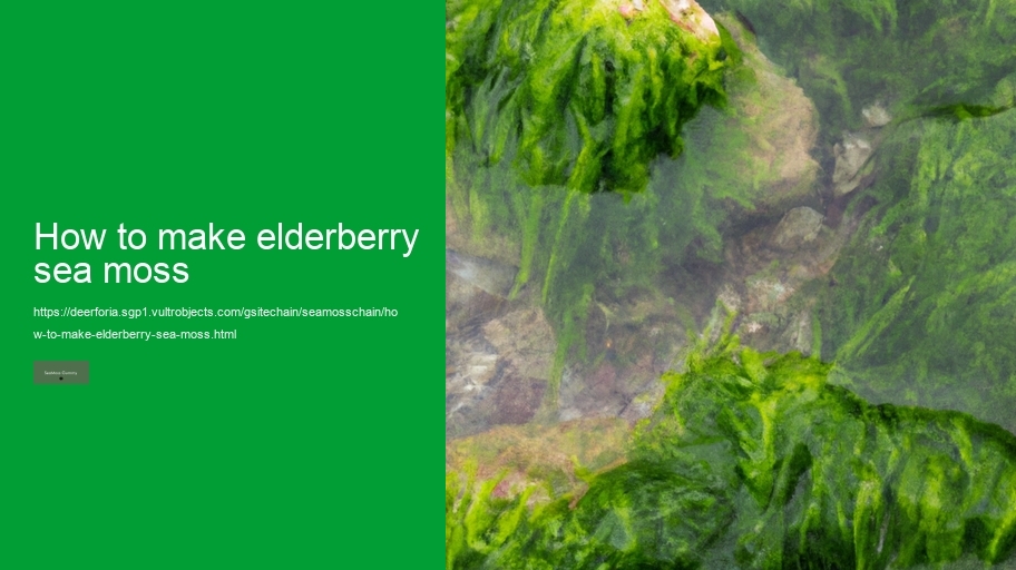 how to make elderberry sea moss
