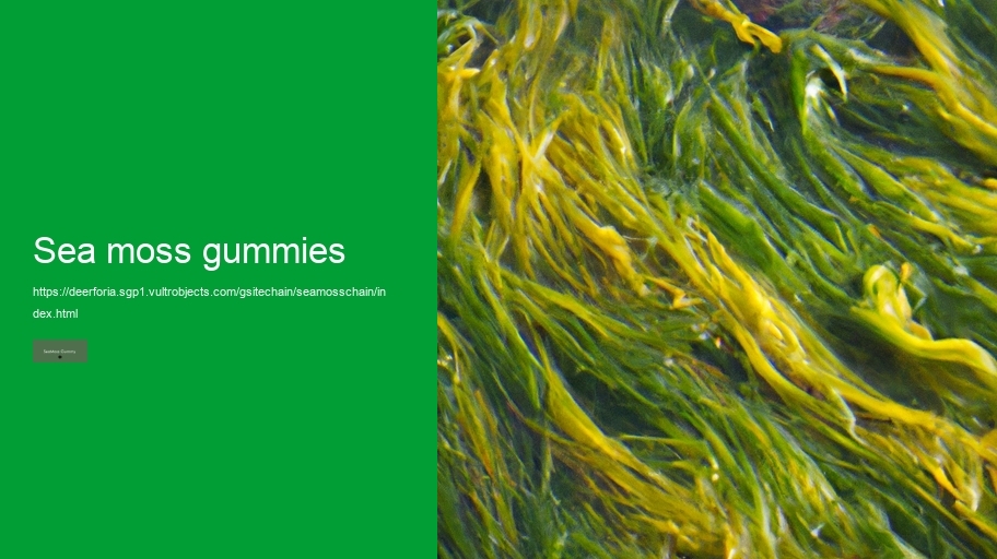 sea moss gummies