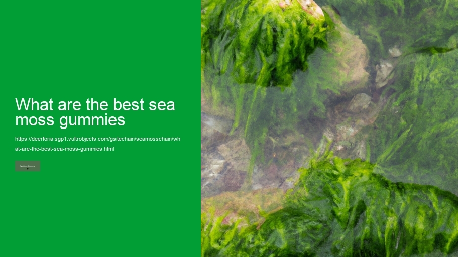 what are the best sea moss gummies